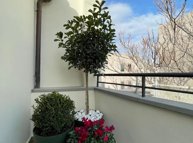 Vtz San Valero サラゴサ