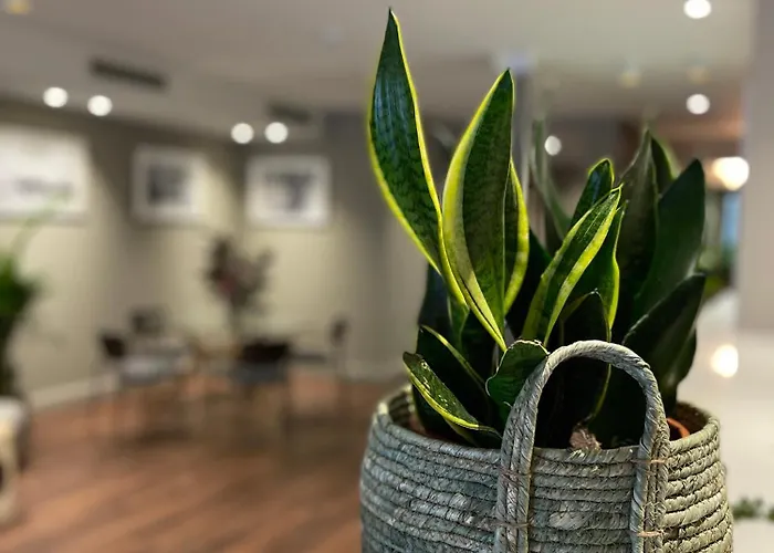 Hotel Vtz San Valero